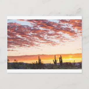 Sonoran Desert Colorful Sunrise Morgon Vykort