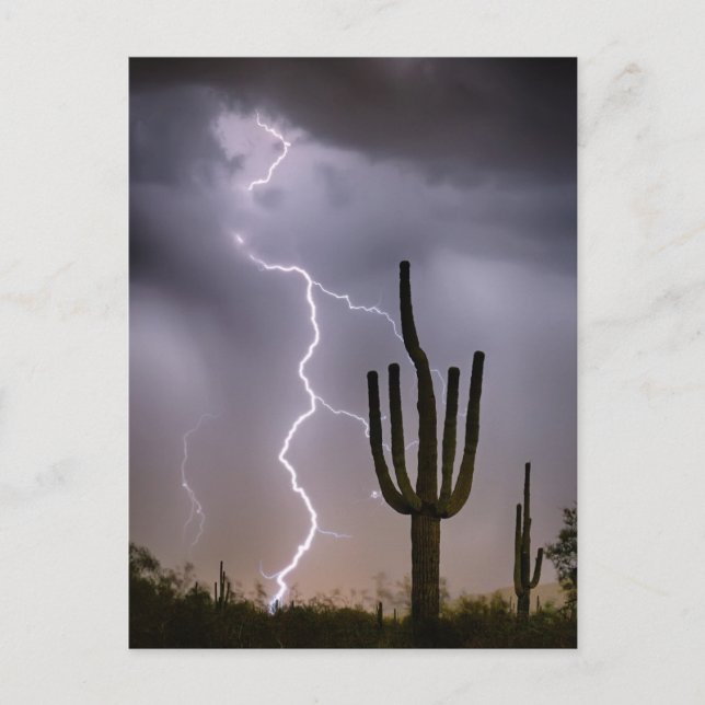 Sonoran Desert MonSnart Storming Vykort (Framsida)