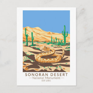 Sonoran Desert National Monument Skallerorm Retro Vykort