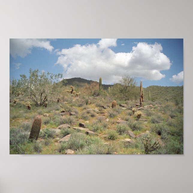 Sonoran Desert Pastoral Art Print Photo Poster (Framsidan)