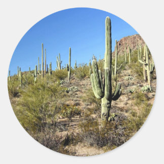 Sonoran Desert-scen 03 Runt Klistermärke