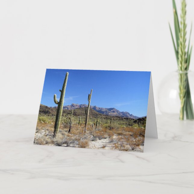 Sonoran Desert Scene 13 Kort (Framsida)