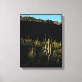 Sonoran Desert Scene med Giant Saguaro Cactus Canvastryck