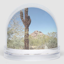 Sonoran Desert Snow Globe