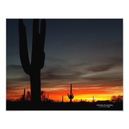 Sonoran Desert sunset Arizona with saguaro cactus Fototryck