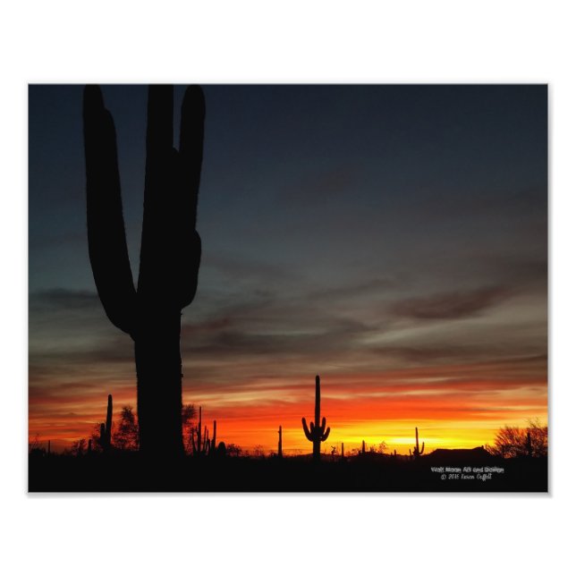 Sonoran Desert sunset Arizona with saguaro cactus Fototryck (Framsidan)