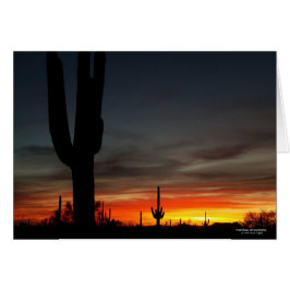 Sonoran Desert sunset Arizona with saguaro cactus Hälsningskort