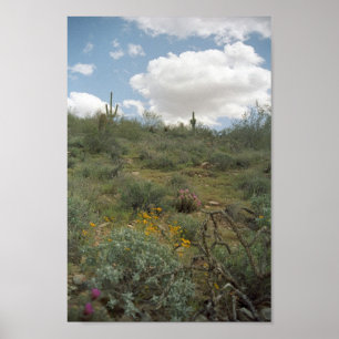 Sonoran Desert Vår Symphony Art Print Poster