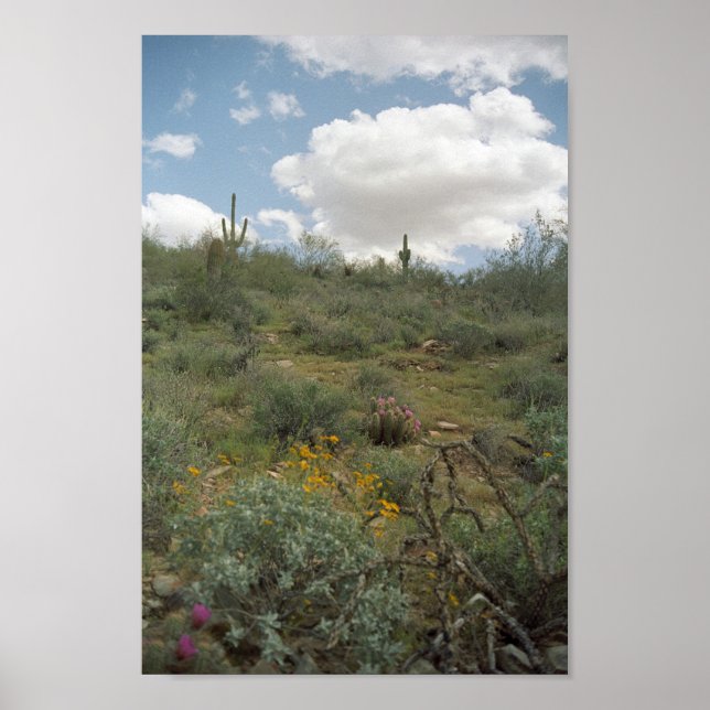 Sonoran Desert Vår Symphony Art Print Poster (Framsidan)