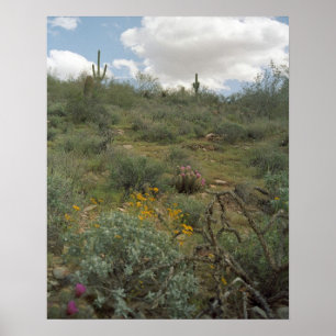 Sonoran Desert Vår Symphony Poster konstnärliga ut
