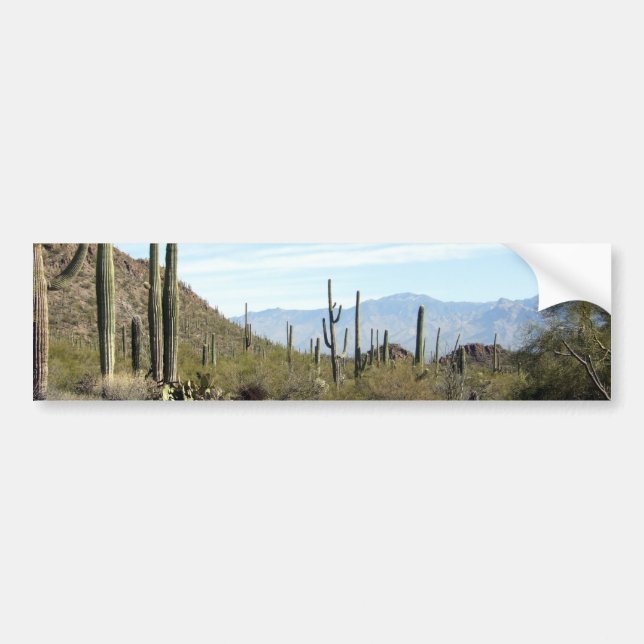 Sonoran ökenplats 02 bildekal (Framsidan)
