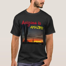 Sonoran ökensolnedgång Arizona med saguarokaktusen