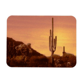 Sonoran ökensolnedgång magnet
