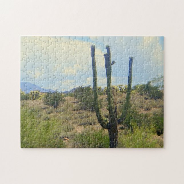 Sonoran ökenspår pussel (Horisontell)