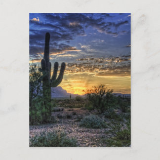 Sonoran Sunrise Vykort