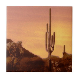 Sonoran sunset kakelplatta