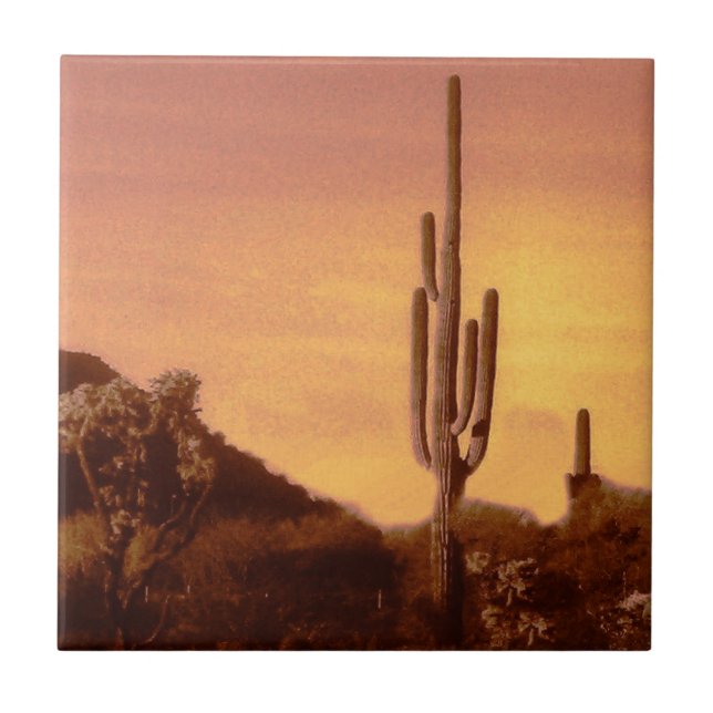 Sonoran sunset kakelplatta (Framsidan)