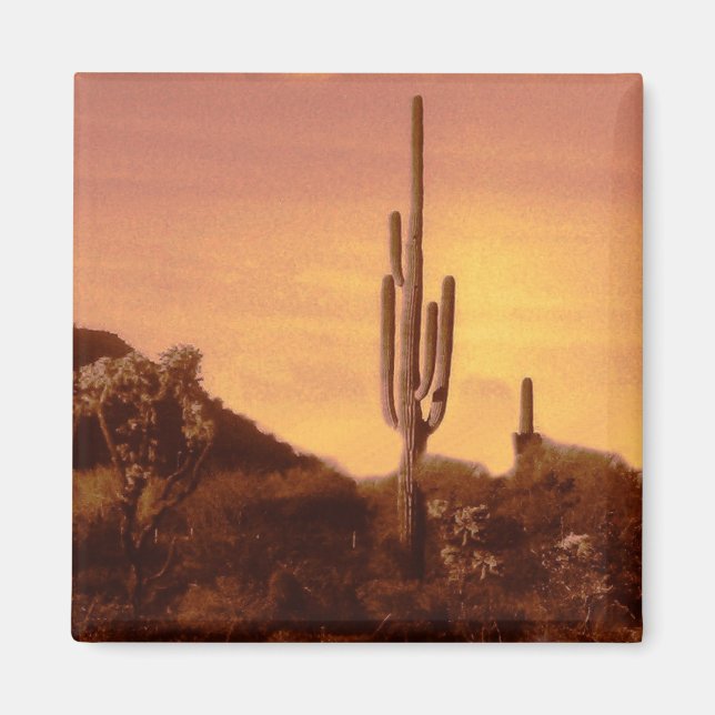 Sonoran sunset magnet (Framsidan)