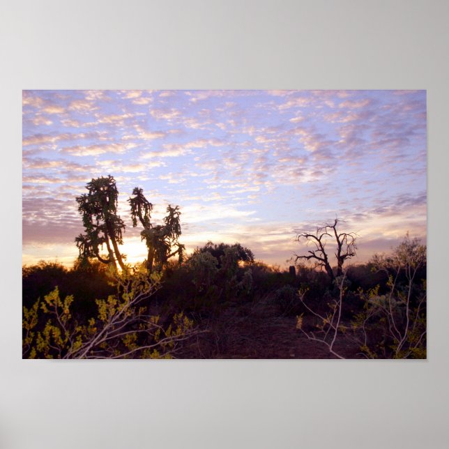 Sonoran Sunset Poster (Framsidan)