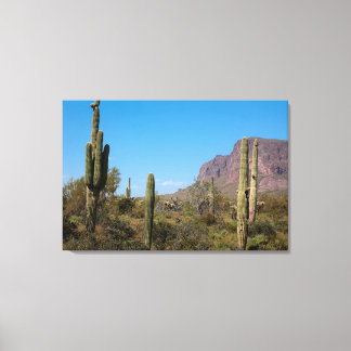 Sonoranöknen i Arizona Canvastryck
