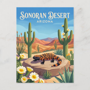 Sonorasöknen USA Vykort