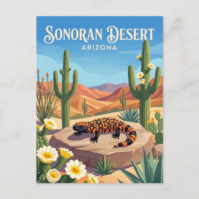 Sonorasöknen USA Vykort (Framsida)