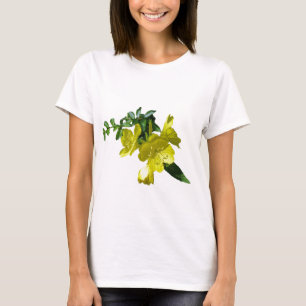 Sönrops Primrose-koordinationsobjekt T-shirt
