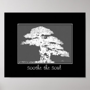 Soothe själ bonsai träd poster citat