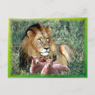 Soothes the Soul - Vykort