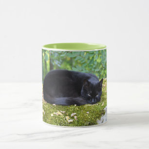 Sooty Mugg