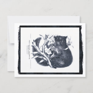 Sooty Opossum Vykort