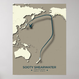Sooty Shearwater Migration Karta - minimalist Poster