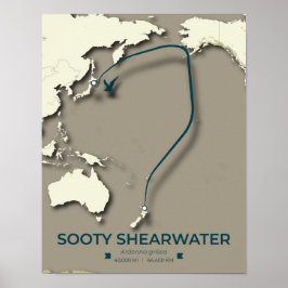 Sooty Shearwater Migration Karta - minimalist Poster