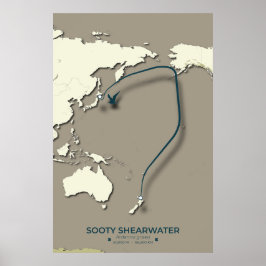 Sooty Shearwater Migration Karta - minimalist Poster