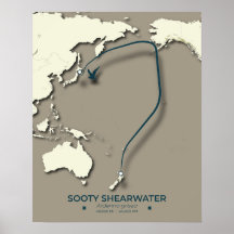 Sooty Shearwater Migration Karta - minimalist