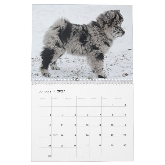 Sophia 2015 Anpassningsbar Chow Calendar Kalender (Jan 2027)