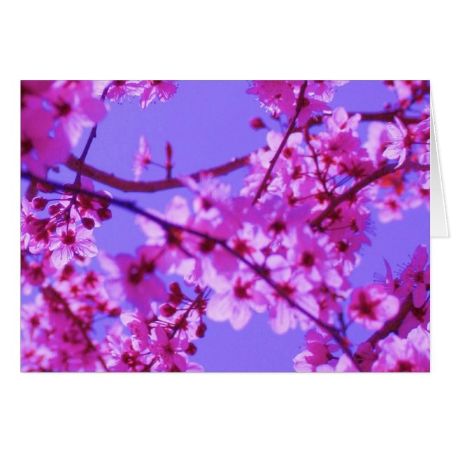 Sophie kortmall hälsningskort (Framsidan Horizontal)