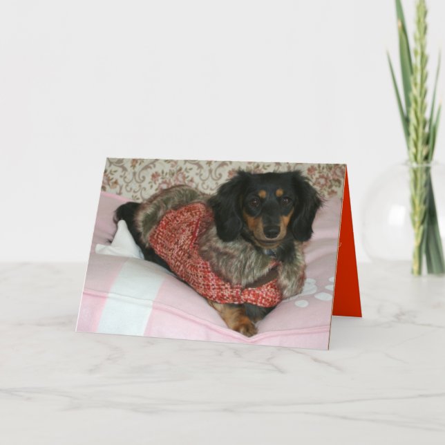 Sophie Tack Kort (Framsida)