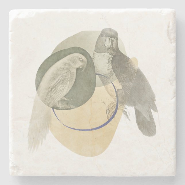 Sophisticated Bird Art Warm Neutral Stone Coaster Stenunderlägg (Framsidan)