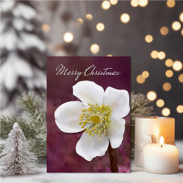 Sophisticated High-Poly Winter Rose Art Christmas Kort