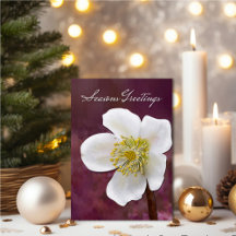 Sophisticated High-Poly Winter Rose Art Seasons 
