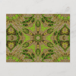 SOPHORNITELLA 92 VYKORT