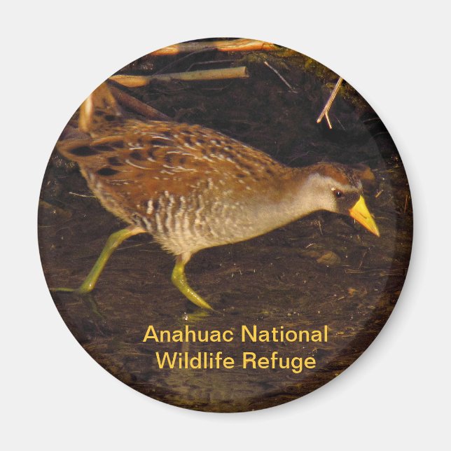 Sora Magnet (Framsidan)