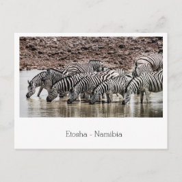 Sörde av Zebra med vattenhål i Etosha, Namibia Vykort