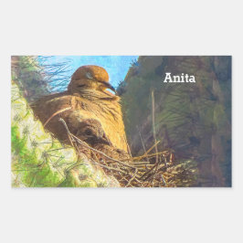 Sorgduva Hona Med Unge i Bo på Saguaro-kaktus Rektangulärt Klistermärke