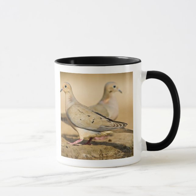 Sorgduva Mugg (Höger)