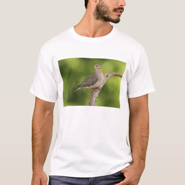 Sorgduva, Zenaida macroura T-shirt (Framsida)