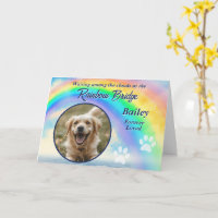 Sorgkort med foto för bortgånget husdjur - Rainbow