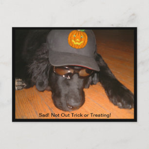 Sorglig Halloween utan trick or treat Vykort