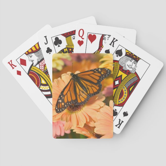 Sorgmantel Casinokort (Baksidan)